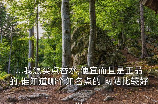 ...我想买点香水,便宜而且是正品的,谁知道哪个知名点的 网站比较好...