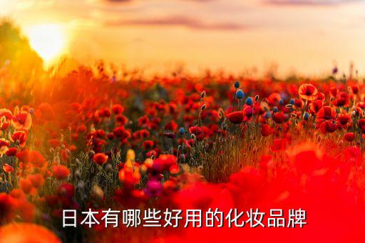 日本有哪些好用的化妆品牌