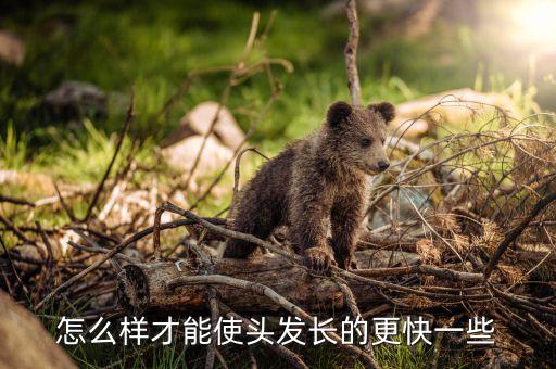 浓华露洗发水怎么样,自做洗发水怎么样才能变浓