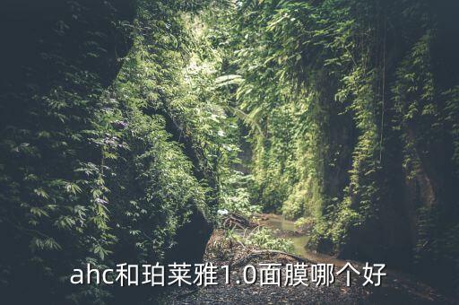 ahc和珀莱雅1.0面膜哪个好