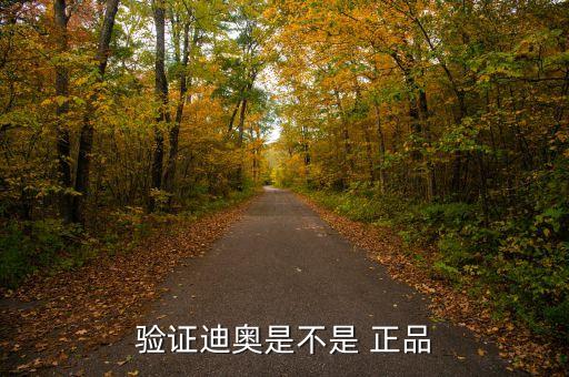 dior镜面包正品多少钱