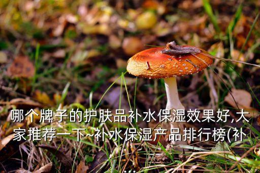 哪个牌子的护肤品补水保湿效果好,大家推荐一下~补水保湿产品排行榜(补...