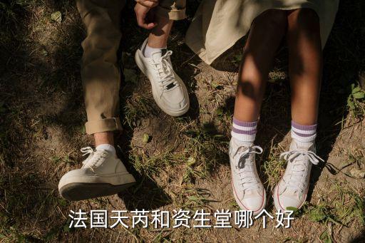 法国天芮和资生堂哪个好