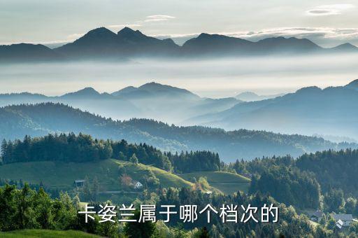 卡姿兰属于哪个档次的