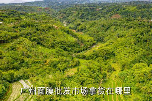 广州面膜批发市场拿货在哪里