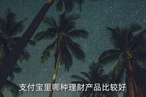 支付宝里哪种理财产品比较好