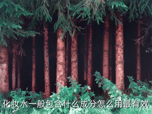 更新角质保湿高机能水怎么用