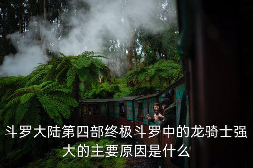斗罗大陆第四部终极斗罗中的龙骑士强大的主要原因是什么