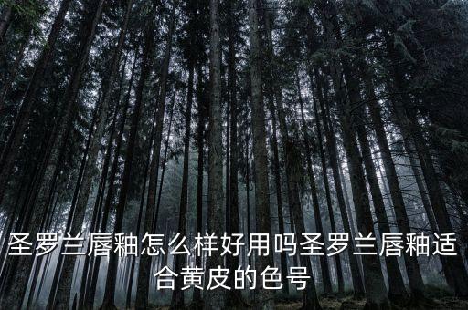 圣罗兰唇釉怎么样好用吗圣罗兰唇釉适合黄皮的色号
