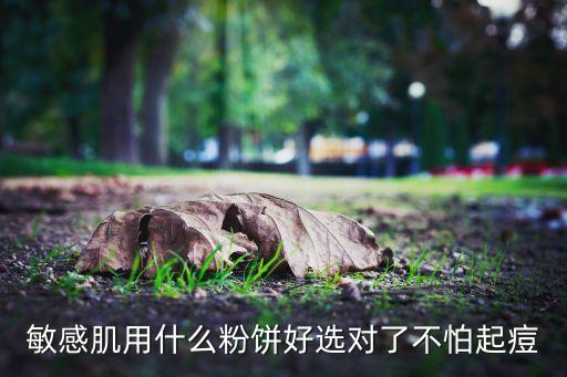 bobbi 修颜粉哪个好用吗