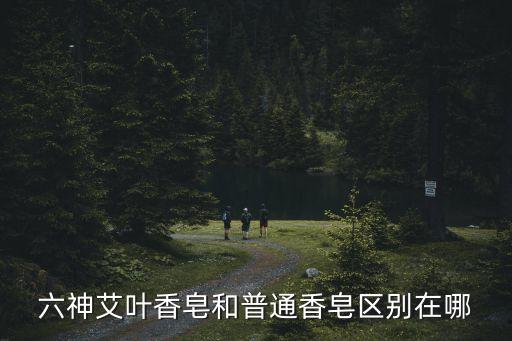 六神艾叶香皂和普通香皂区别在哪