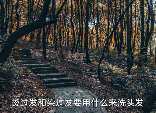 染完用什么洗发水,染发后用什么护发洗发水比较好?