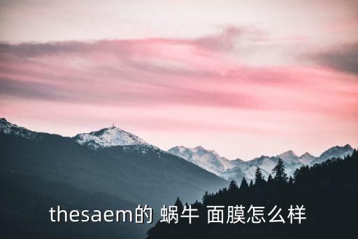 thesaem的 蜗牛 面膜怎么样
