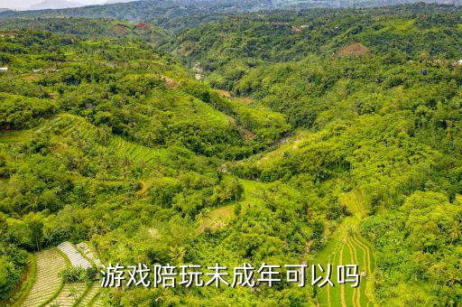 游戏陪玩未成年可以吗