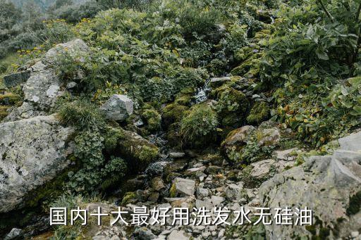 纯柔去屑洗发露怎么样,丝艺花纯洗发水去屑止痒柔顺改善毛躁