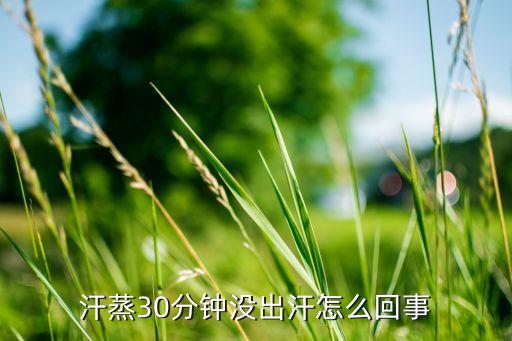 汗蒸30分钟没出汗怎么回事