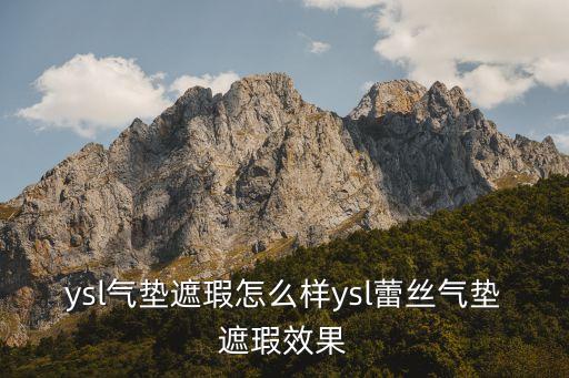 圣罗兰气垫粉底怎么样,圣罗兰星钻气垫怎么样?看这里!