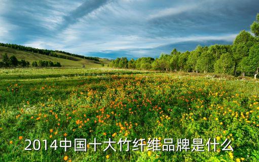 2014中国十大竹纤维品牌是什么