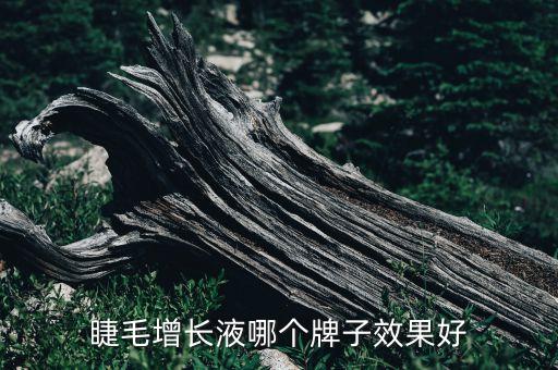 睫毛增长液哪个牌子效果好