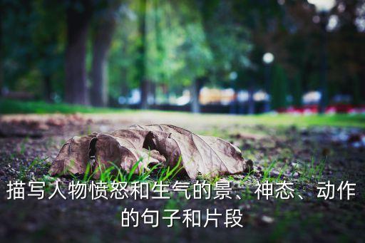 描写人物愤怒和生气的景、神态、动作的句子和片段