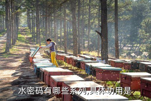 水密码有哪些系列,具体功用是
