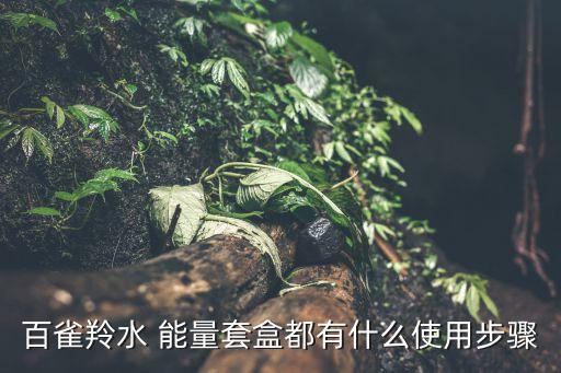 百雀羚水 能量套盒都有什么使用步骤