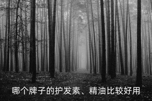 哪个牌子的护发素、精油比较好用