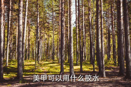  美甲可以用什么胶水