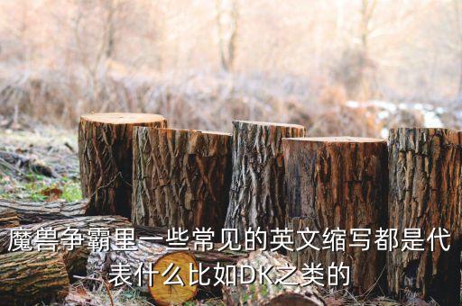 魔兽争霸里一些常见的英文缩写都是代表什么比如DK之类的