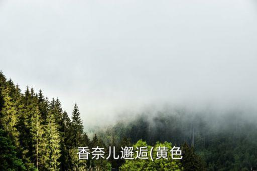  香奈儿邂逅(黄色
