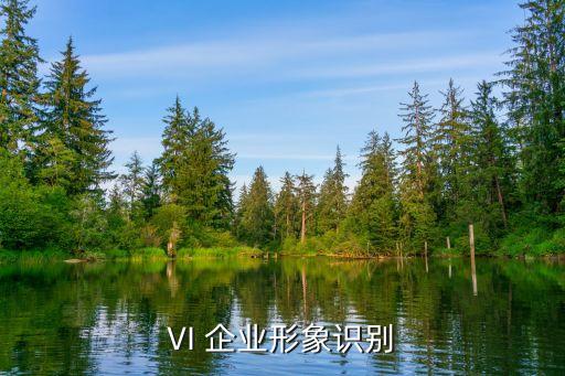 企业造型是什么意思,多巴胺造型是什么意思