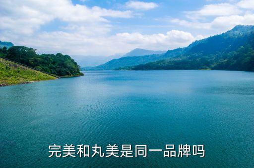 完美和丸美是同一品牌吗