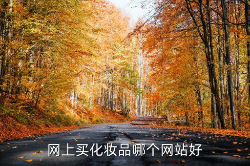 网上买化妆品哪个网站好