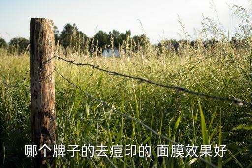 悦诗风吟石榴面膜怎么样,韩国悦诗风吟石榴面膜