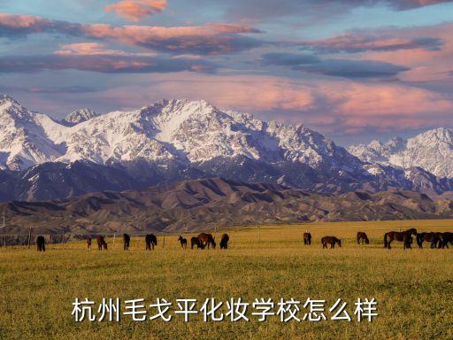 杭州毛戈平化妆学校怎么样
