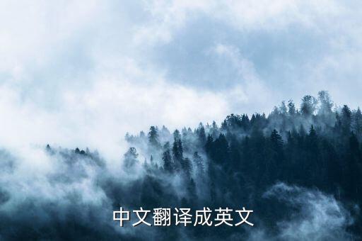  中文翻译成英文