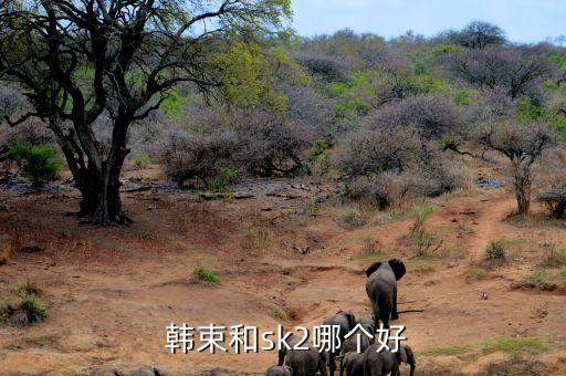  韩束和sk2哪个好
