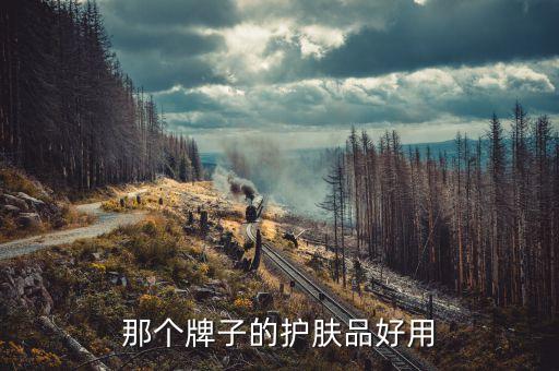 那个牌子的护肤品好用