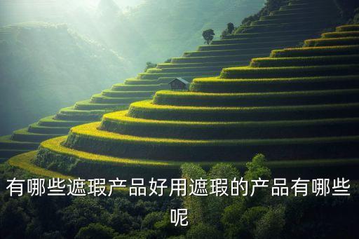 有哪些遮瑕产品好用遮瑕的产品有哪些呢