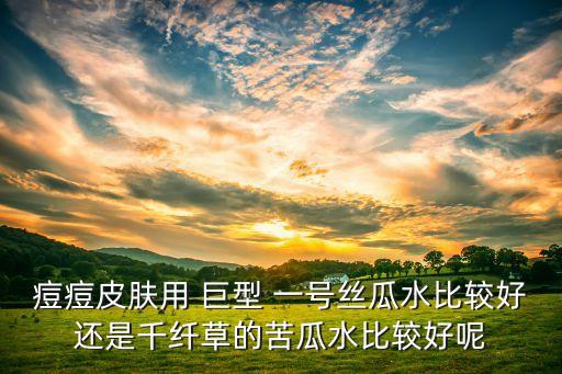 痘痘皮肤用 巨型 一号丝瓜水比较好还是千纤草的苦瓜水比较好呢