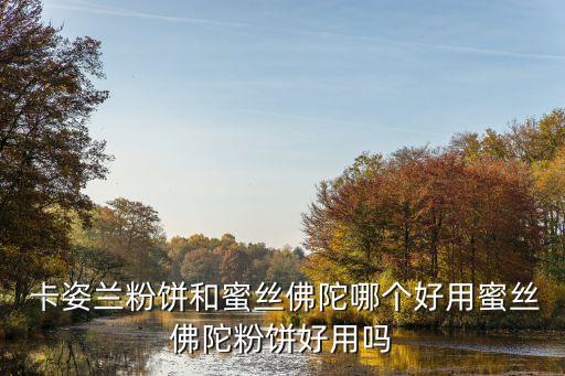  卡姿兰粉饼和蜜丝佛陀哪个好用蜜丝佛陀粉饼好用吗