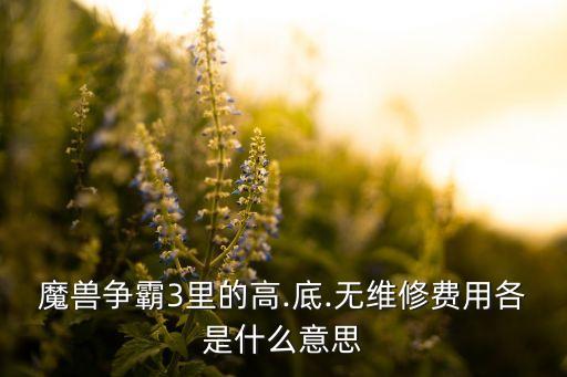 魔兽争霸3里的高.底.无维修费用各是什么意思