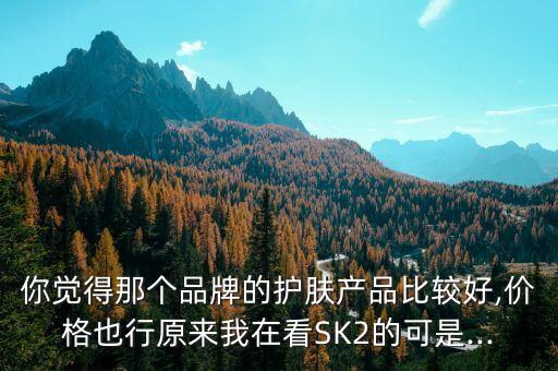 你觉得那个品牌的护肤产品比较好,价格也行原来我在看SK2的可是...