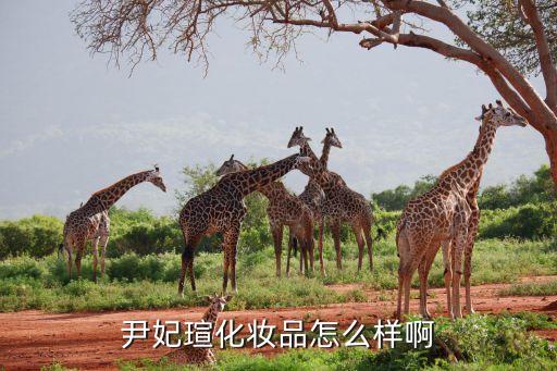尹妃瑄化妆品怎么样啊