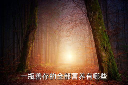 一瓶善存的全部营养有哪些
