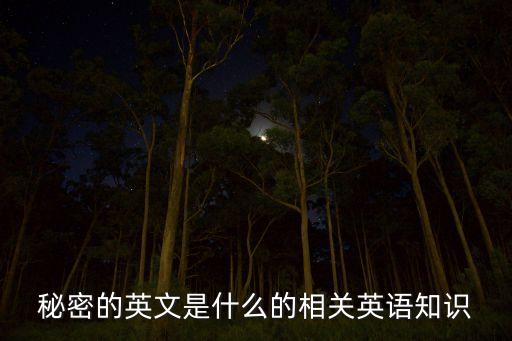 secret repair什么意思中文,Repair什么意思中文
