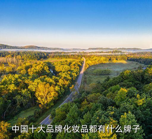 中国十大品牌化妆品都有什么牌子