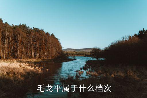  毛戈平属于什么档次