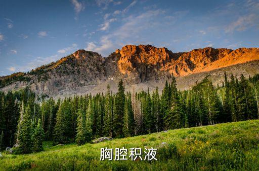 胸腔积液