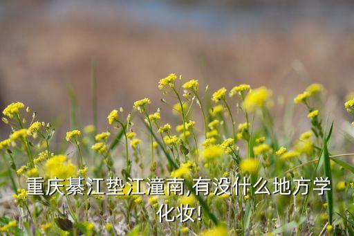  重庆綦江垫江潼南,有没什么地方学 化妆!